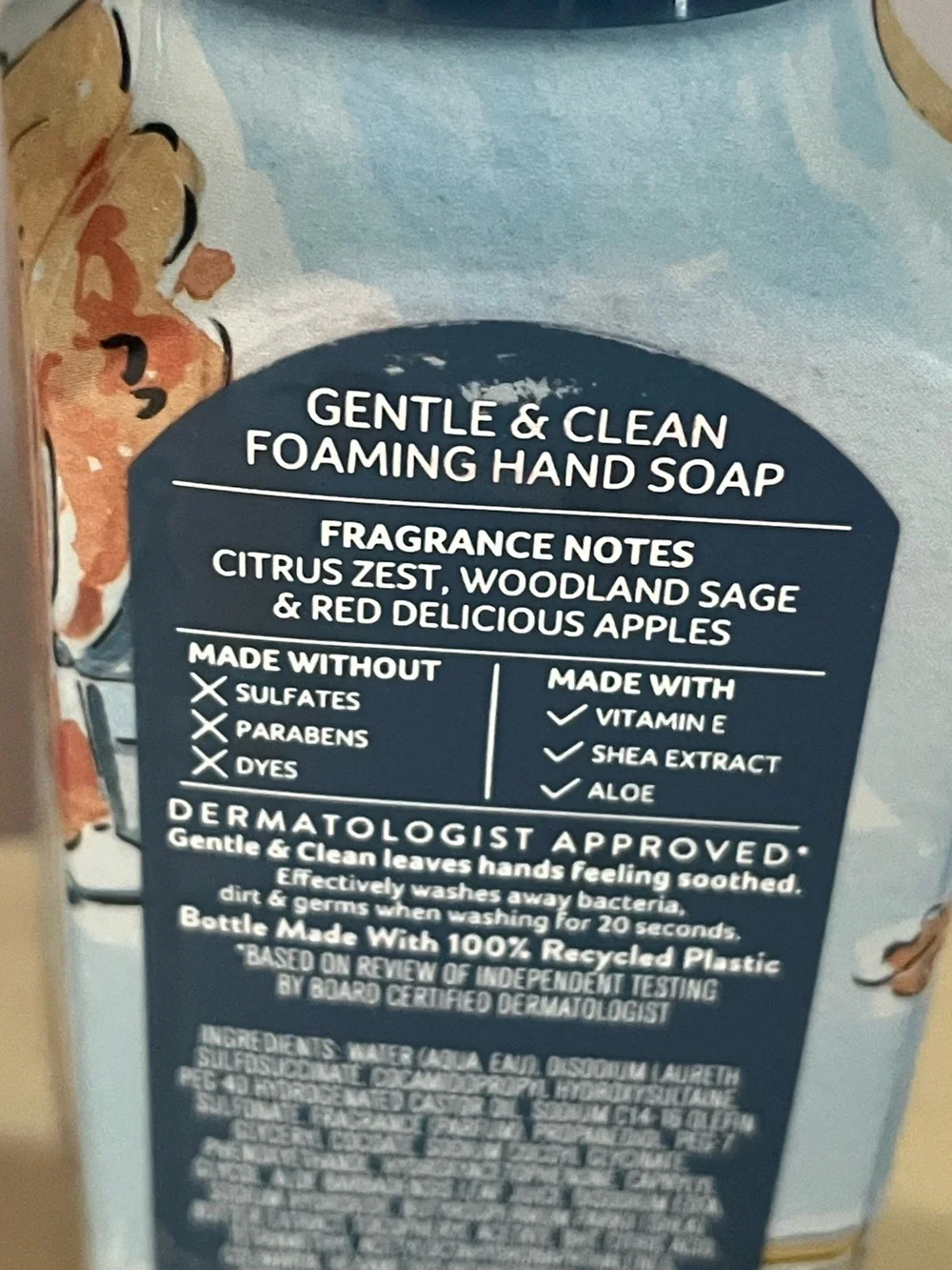 Two New Bath & Body Works Fresh Fall Morning Foaming Hand Soaps